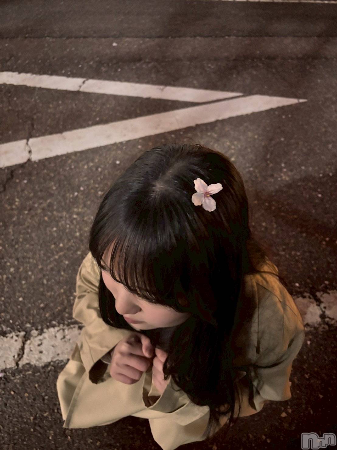 ����������ʥå��������륺�С�JEUNESSE(����ͥ�) ��2026ǯ4��9���̥�֥����ֺ����Ƥ���🌸��