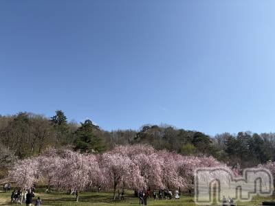 ����������ʥå��������륺�С�JEUNESSE(����ͥ�) Risa��4��11���̥�֥����ֺ��ޤ��餤�Ƥ�🌸��