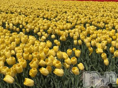 ����������ʥå��������륺�С�JEUNESSE(����ͥ�) Risa��4��17���̥�֥����֥��塼��åס�