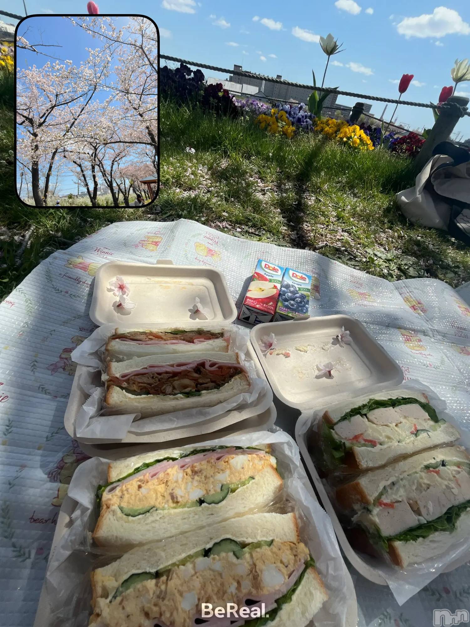 ����������ʥå��������륺�С�JEUNESSE(����ͥ�) ��2026ǯ4��13���̥�֥�����ͧã�Ȥ��ָ�🌸��