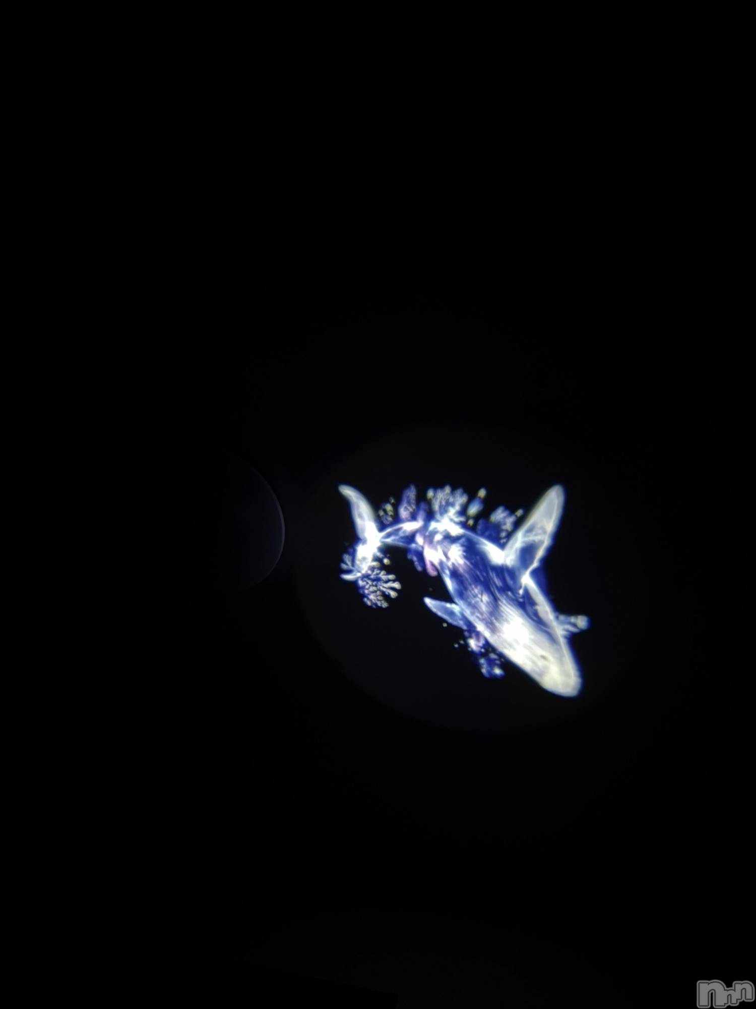 �������������Х��顦�����CLUB Reve-�졼��-(����֥졼��) ��2026ǯ4��22���̥�֥�����🐳💖��