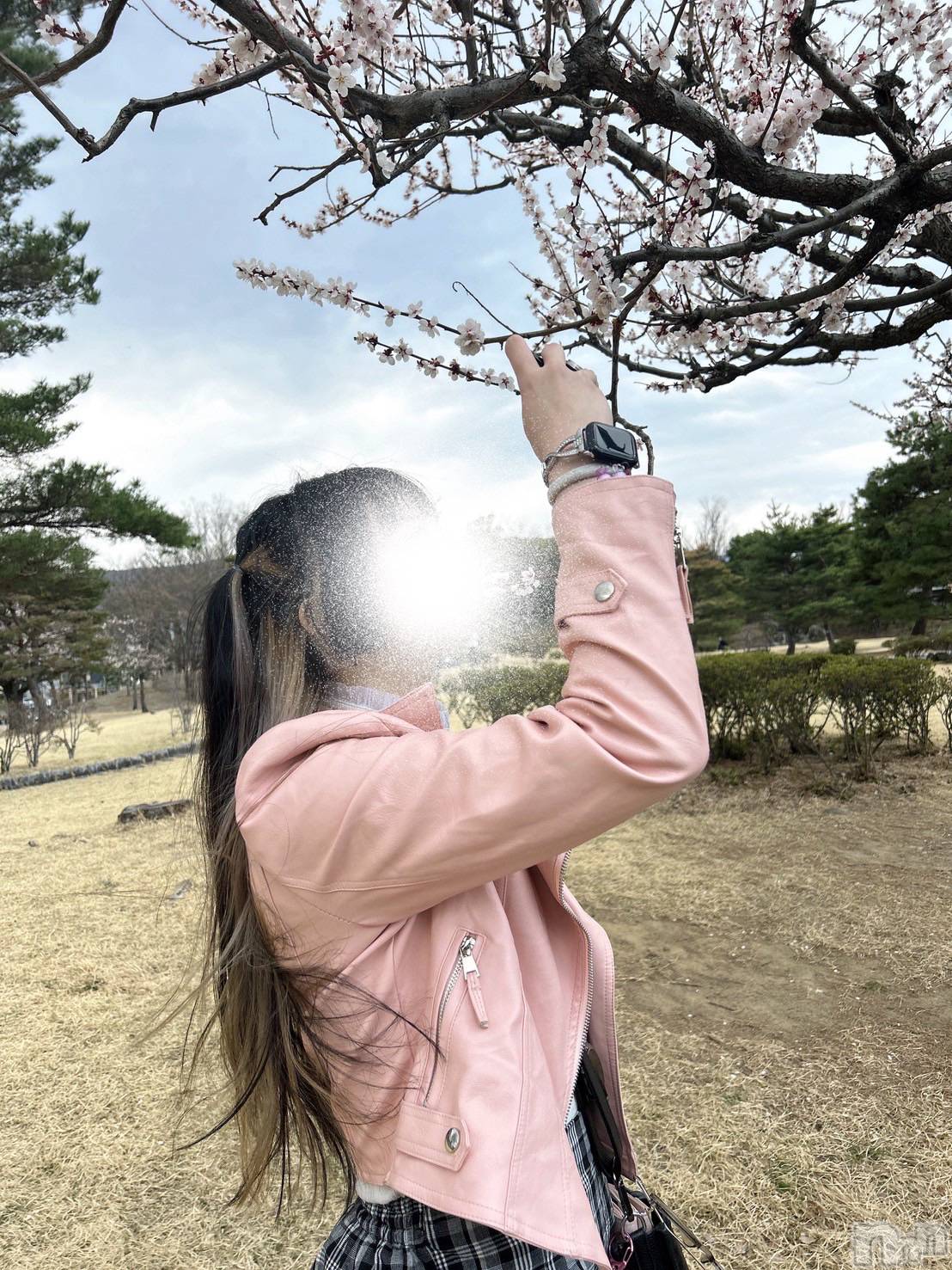 ���ܱ�������Х��顦����֥���� �ץ���� ����(����� �ץ���� �ޥĥ��) ��2026ǯ4��14���̥�֥����ֺ��λ��������