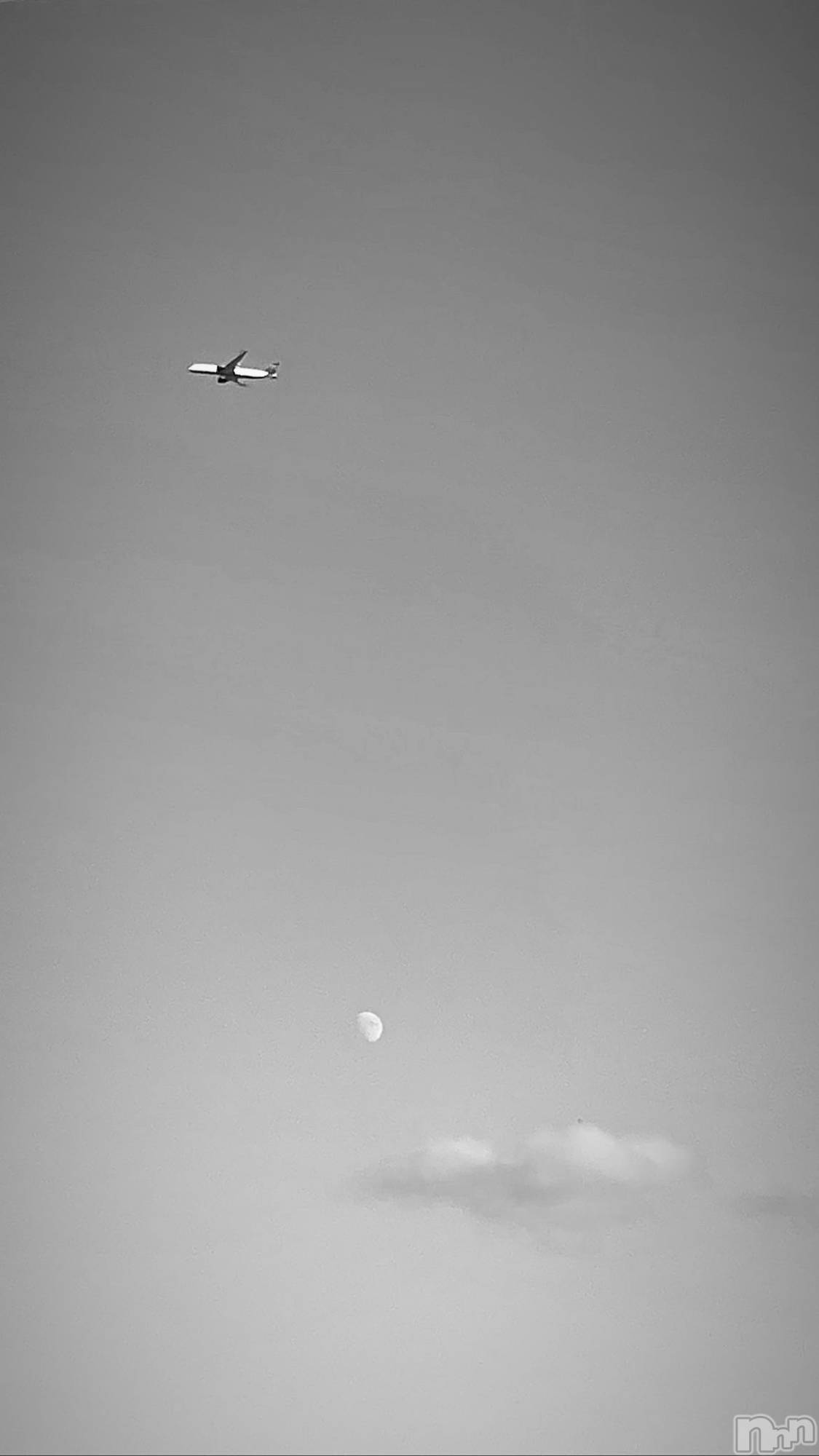 Ĺ��ʥå��������륺�С����פꥹ�ʥå�����ä��礤(���ޥĥꥹ�ʥå�����å��祤) ��2026ǯ3��9���̥�֥����ֳ��ͺ�����1������줵�ޤǤ�����