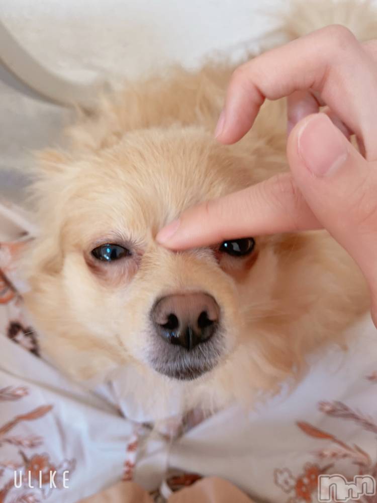 ��Į����Х��顦�����Lounge R Style(�饦�󥸥����륹������) �����3��31���̥�֥����֡�̵��̣�ɤȤ�����̣(���ϡ�*)��