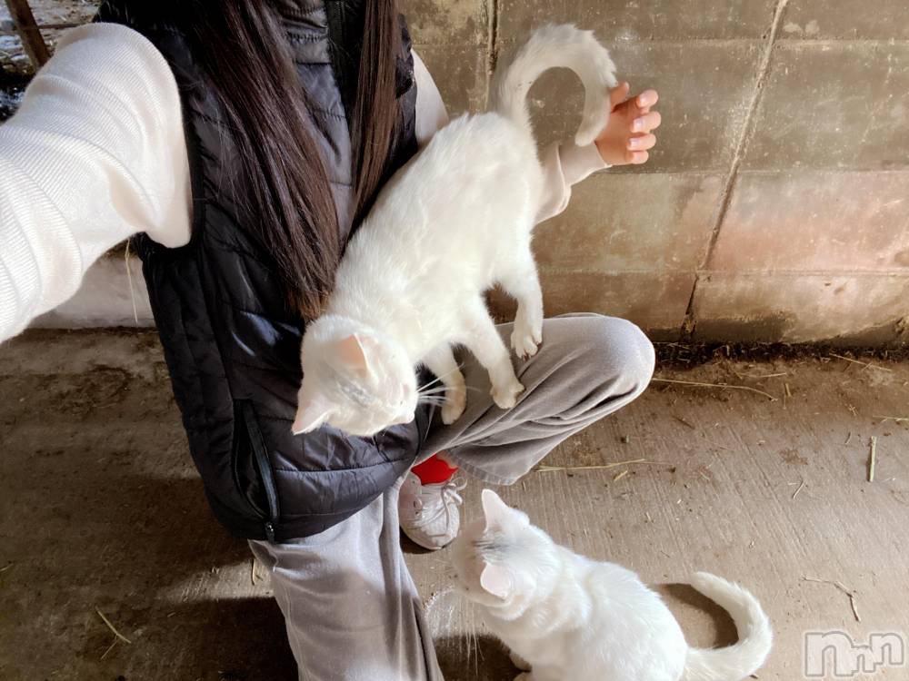 ��Į����Х��顦�����Lounge R Style(�饦�󥸥����륹������) �����4��1���̥�֥����ֺ����ΤҤȤꤴ�ȭ�(���ϡ�*)��