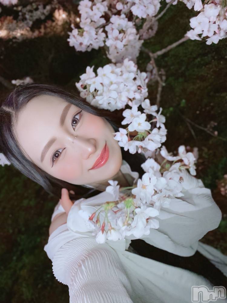 ��Į����Х��顦�����Lounge R Style(�饦�󥸥����륹������) �����4��8���̥�֥��������🌸��