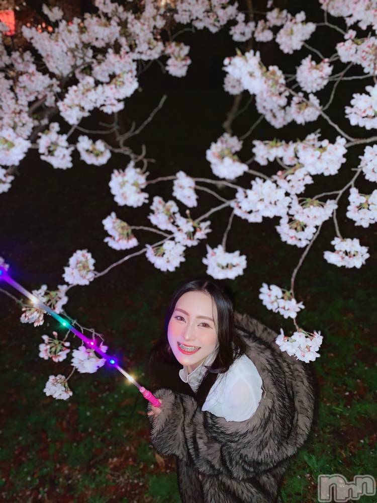 ��Į����Х��顦�����Lounge R Style(�饦�󥸥����륹������) �����4��8���̥�֥����֡ڲ֤������(����*)��