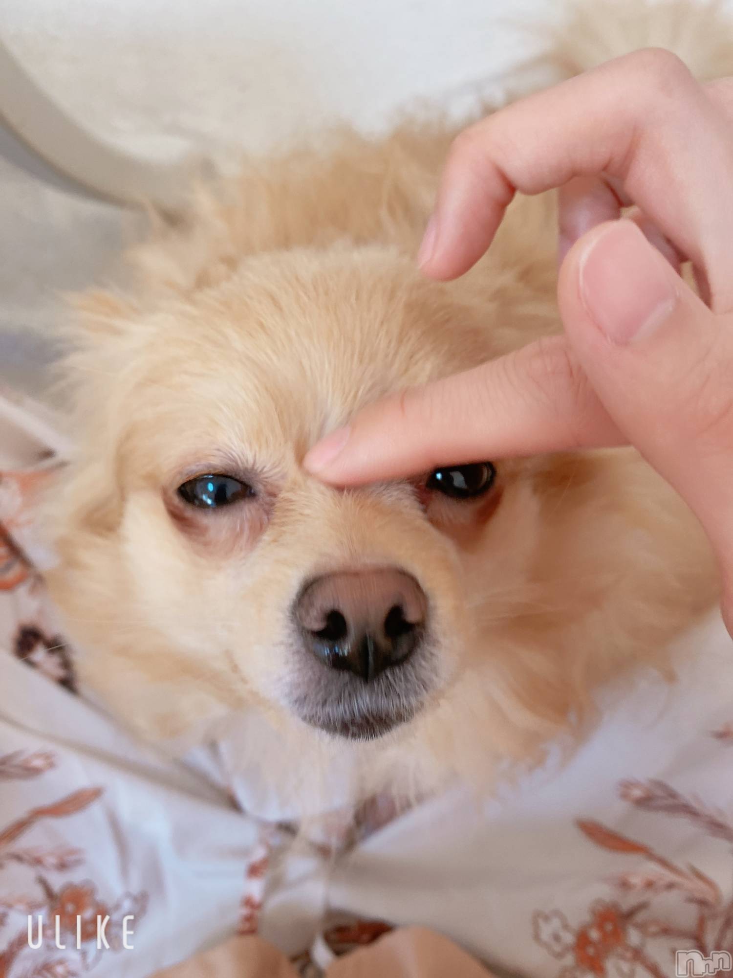 ��Į����Х��顦�����Lounge R Style(�饦�󥸥����륹������) ��2026ǯ3��31���̥�֥����֡�̵��̣�ɤȤ�����̣(���ϡ�*)��