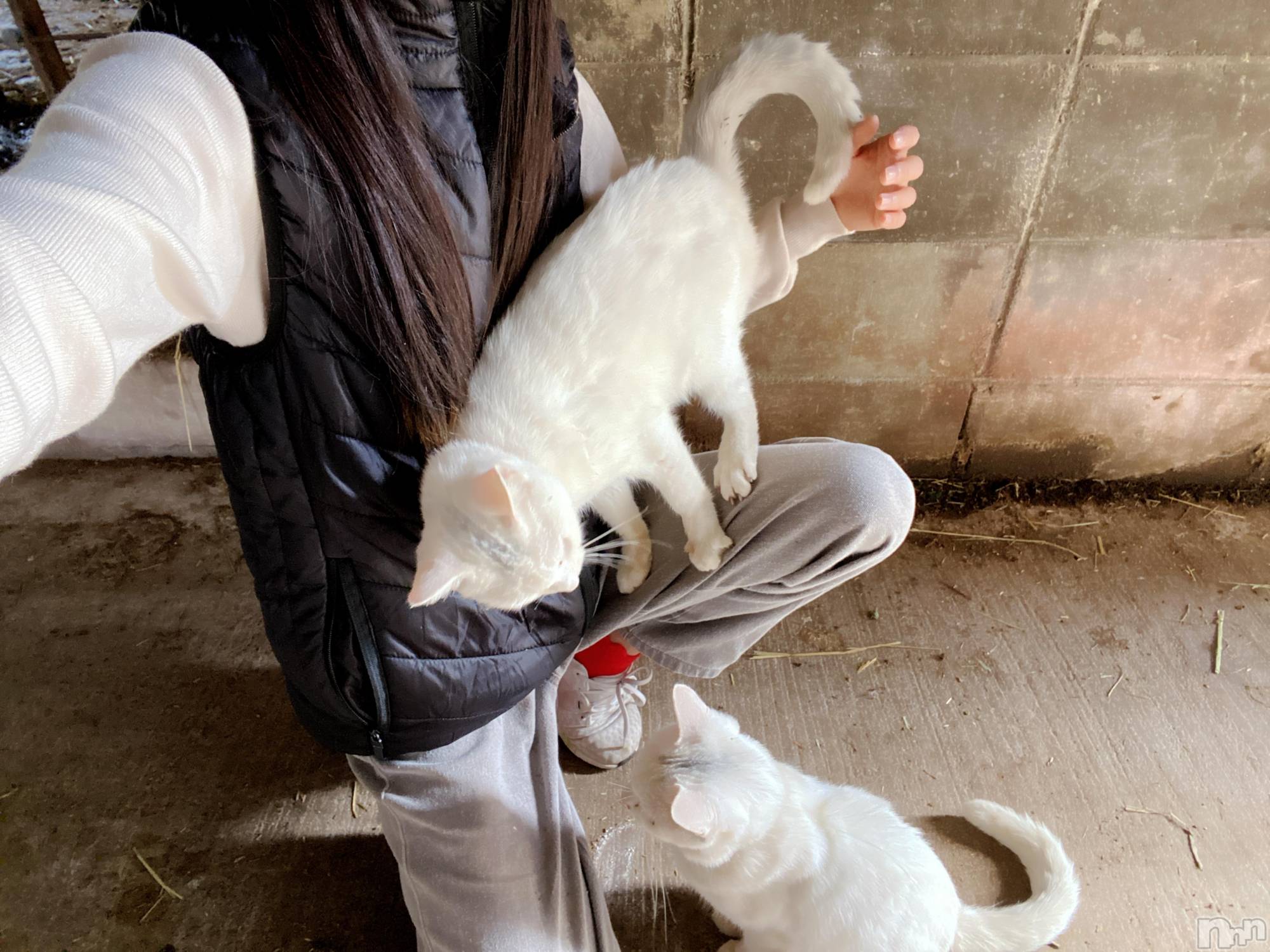 ��Į����Х��顦�����Lounge R Style(�饦�󥸥����륹������) ��2026ǯ4��1���̥�֥����ֺ����ΤҤȤꤴ�ȭ�(���ϡ�*)��