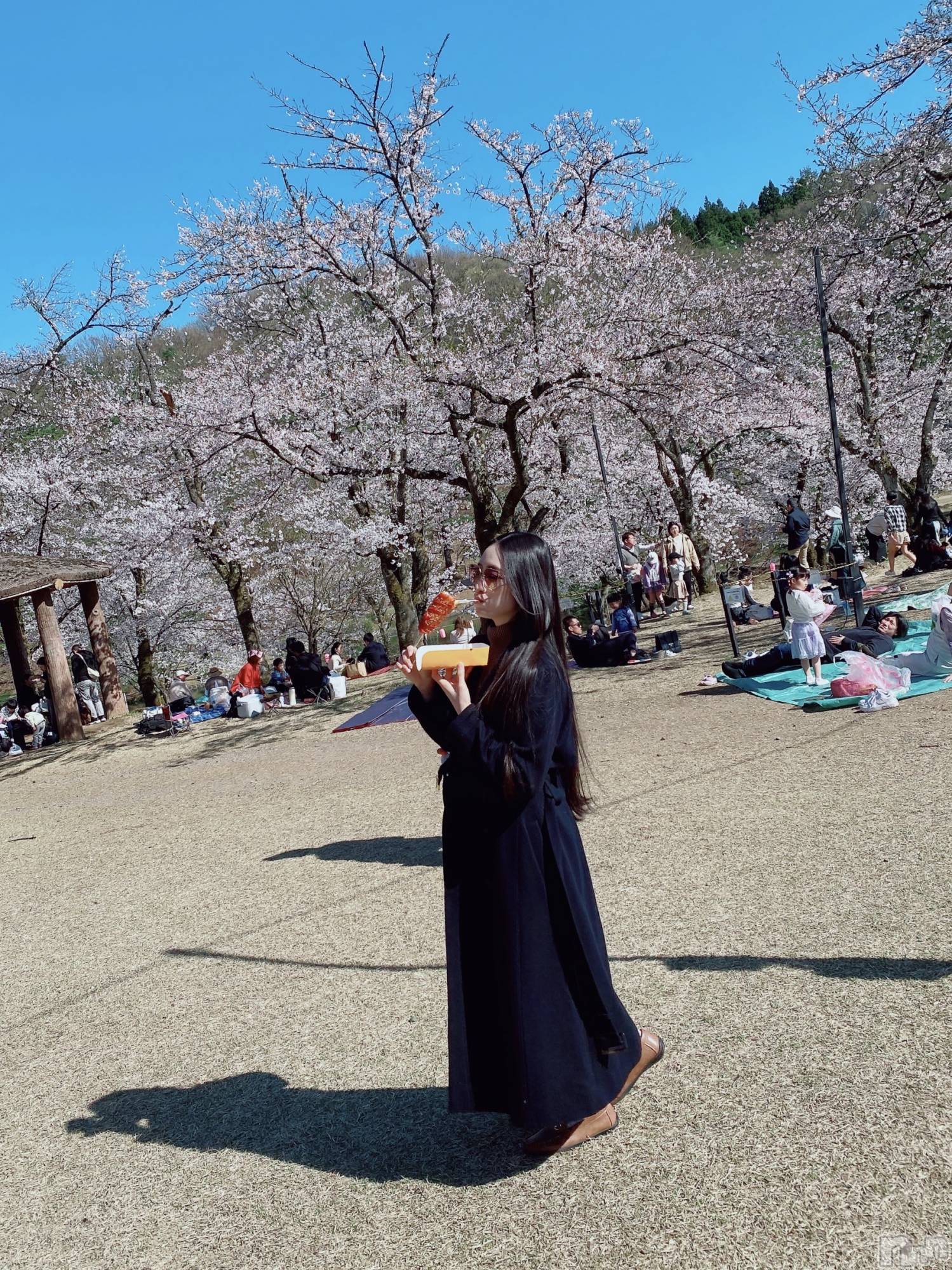 ��Į����Х��顦�����Lounge R Style(�饦�󥸥����륹������) ��2026ǯ4��12���̥�֥����֤��ָ� in��ͪ�׻������🌸🍃��