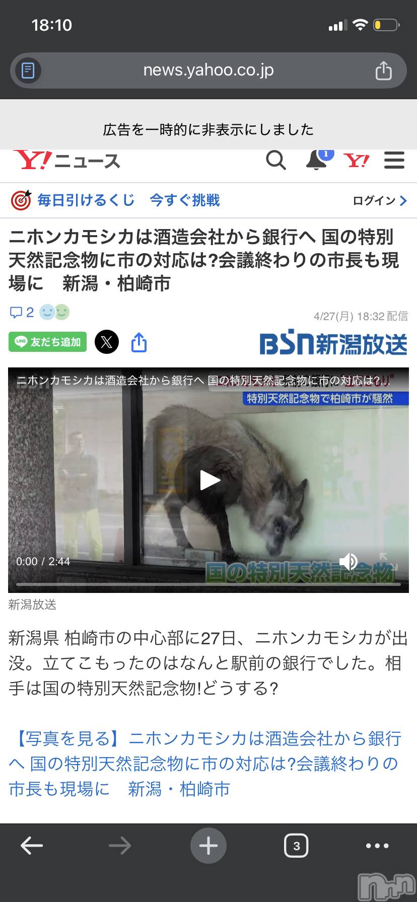 ��Į����Х��顦�����Lounge R Style(�饦�󥸥����륹������) ��2026ǯ4��28���̥�֥�����ŷ����ǰʪww��