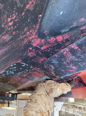 ��Į����Х��顦�����Lounge R Style(�饦�󥸥����륹������) ����(26)��3��23���̥�֥����������ã�ˤ�붵�ܢ���