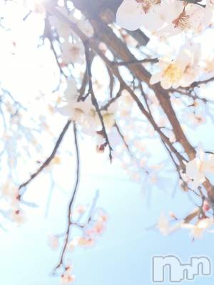 ��Į����Х��顦�����Lounge R Style(�饦�󥸥����륹������) ����(26)��3��28���̥�֥����֥֥줿❣️(�ɢ�`)����������