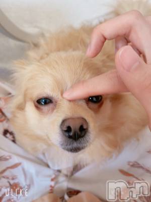 ��Į����Х��顦�����Lounge R Style(�饦�󥸥����륹������) ����(26)��3��31���̥�֥����֡�̵��̣�ɤȤ�����̣(���ϡ�*)��