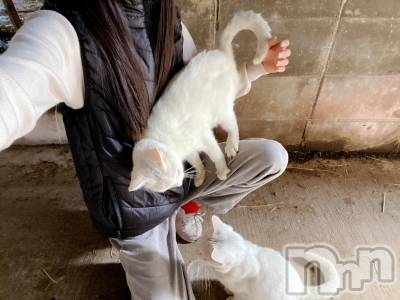 ��Į����Х��顦�����Lounge R Style(�饦�󥸥����륹������) ����(26)��4��1���̥�֥����ֺ����ΤҤȤꤴ�ȭ�(���ϡ�*)��