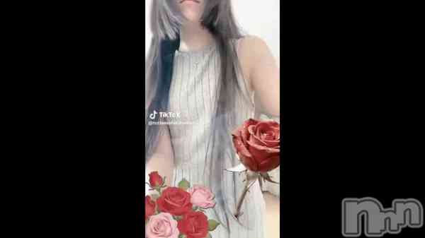 ��3��29�� 12��34ʬ��ư���