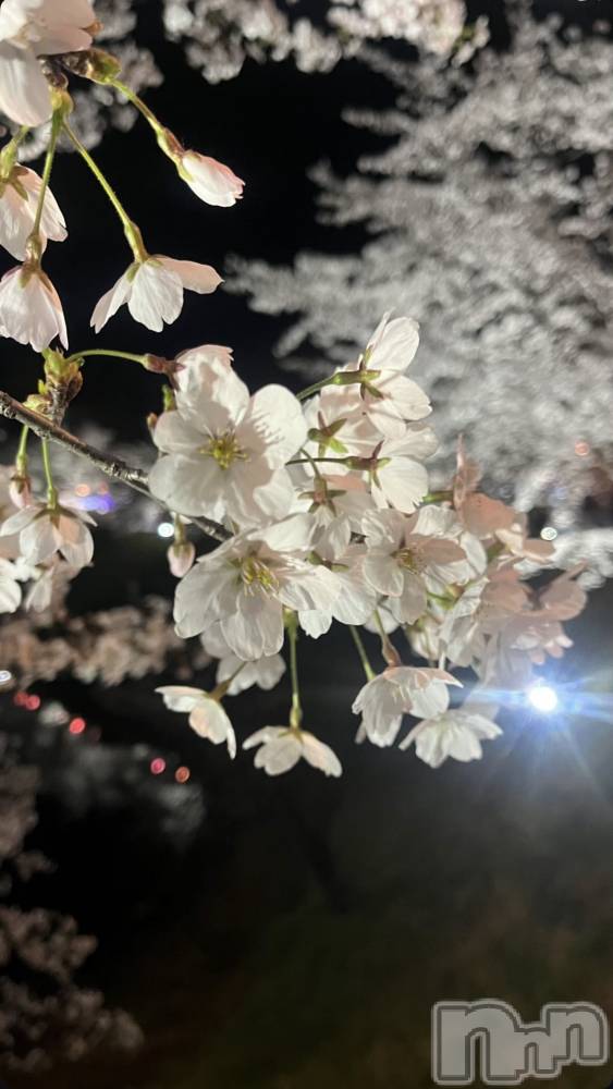 ��ë����Х��顦�����CLUB��Paladin(����֡��ѥ�ǥ���) ����ߤʤߤ�4��7���̥�֥�����🌸✨🌷��