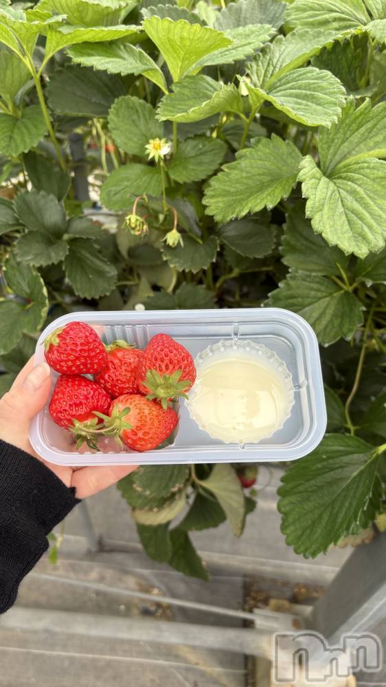 ��ë����Х��顦�����CLUB��Paladin(����֡��ѥ�ǥ���) ����ߤʤߤ�4��23���̥�֥����֡�♡🐰🍼🍓♡����