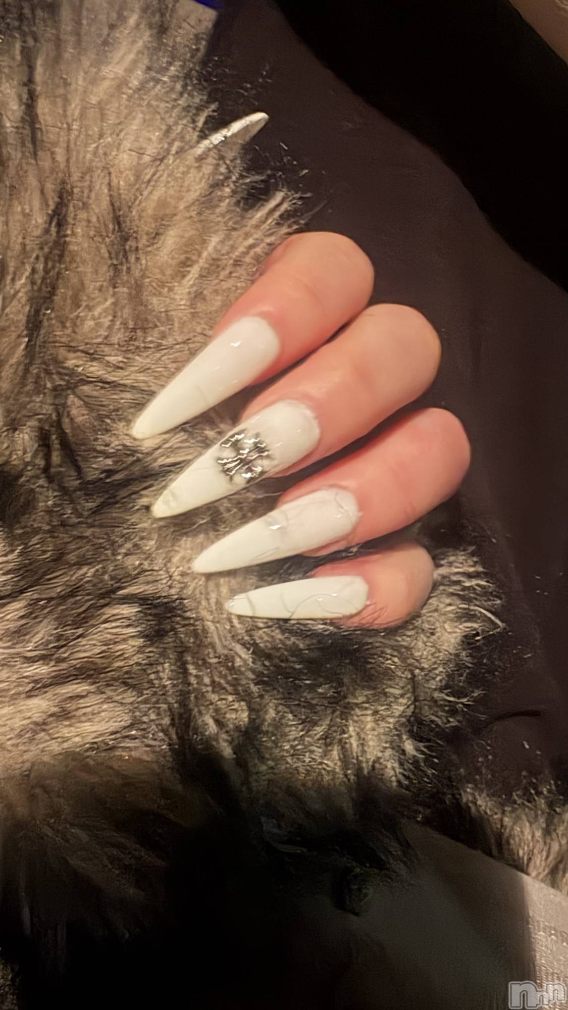 ��ë����Х��顦�����CLUB��Paladin(����֡��ѥ�ǥ���) ��2026ǯ3��11���̥�֥�����💅✨🎀��