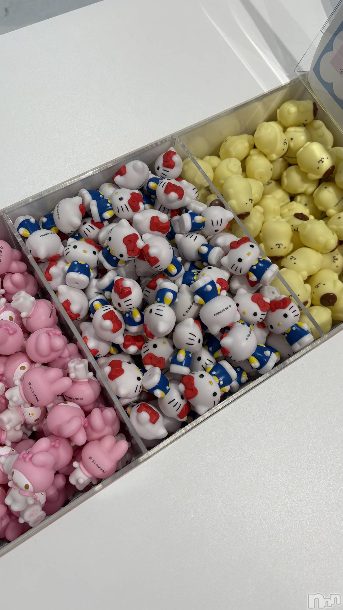 ��ë����Х��顦�����CLUB��Paladin(����֡��ѥ�ǥ���) ��2026ǯ3��17���̥�֥����֎С�◦����🎀��