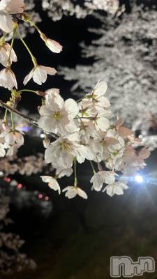 ��ë����Х��顦�����CLUB��Paladin(����֡��ѥ�ǥ���) ����ߤʤߤ�4��7���̥�֥�����🌸✨🌷��