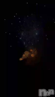 ✨🎆🎇🏮❣️✨