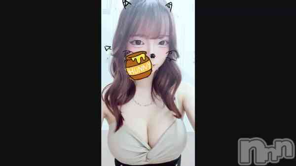 �֤�������ᐡ⸝⸝>  ̫ <⸝⸝ᐡ��