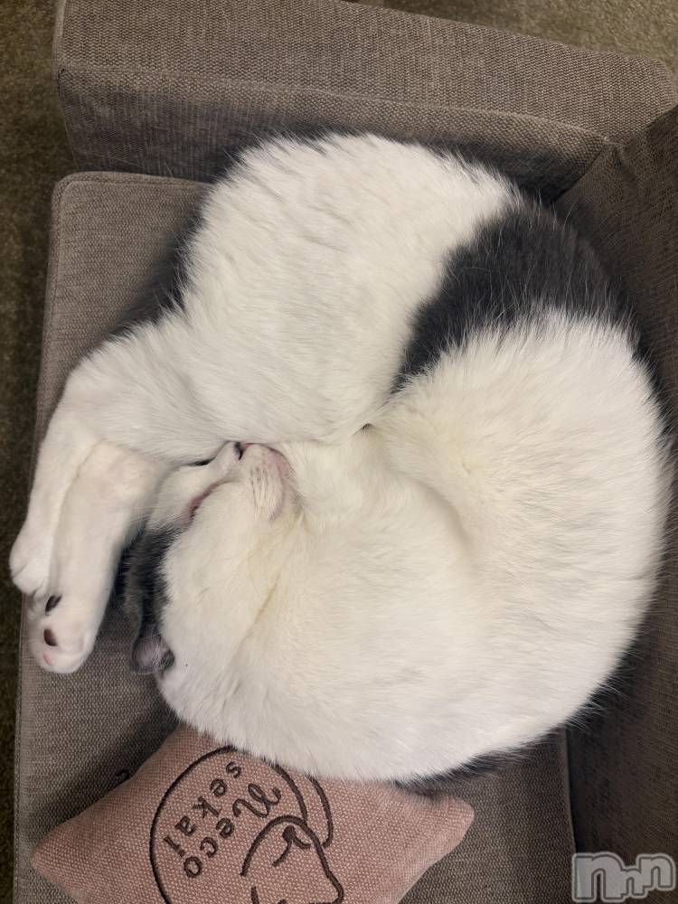 ���ܱ�������Х��顦�����CLUB FOUR LEAF(�ե����꡼��) �Ҥ����3��5���̥�֥����֤Ϥ���ޤ���*ˊᵕˋ*��