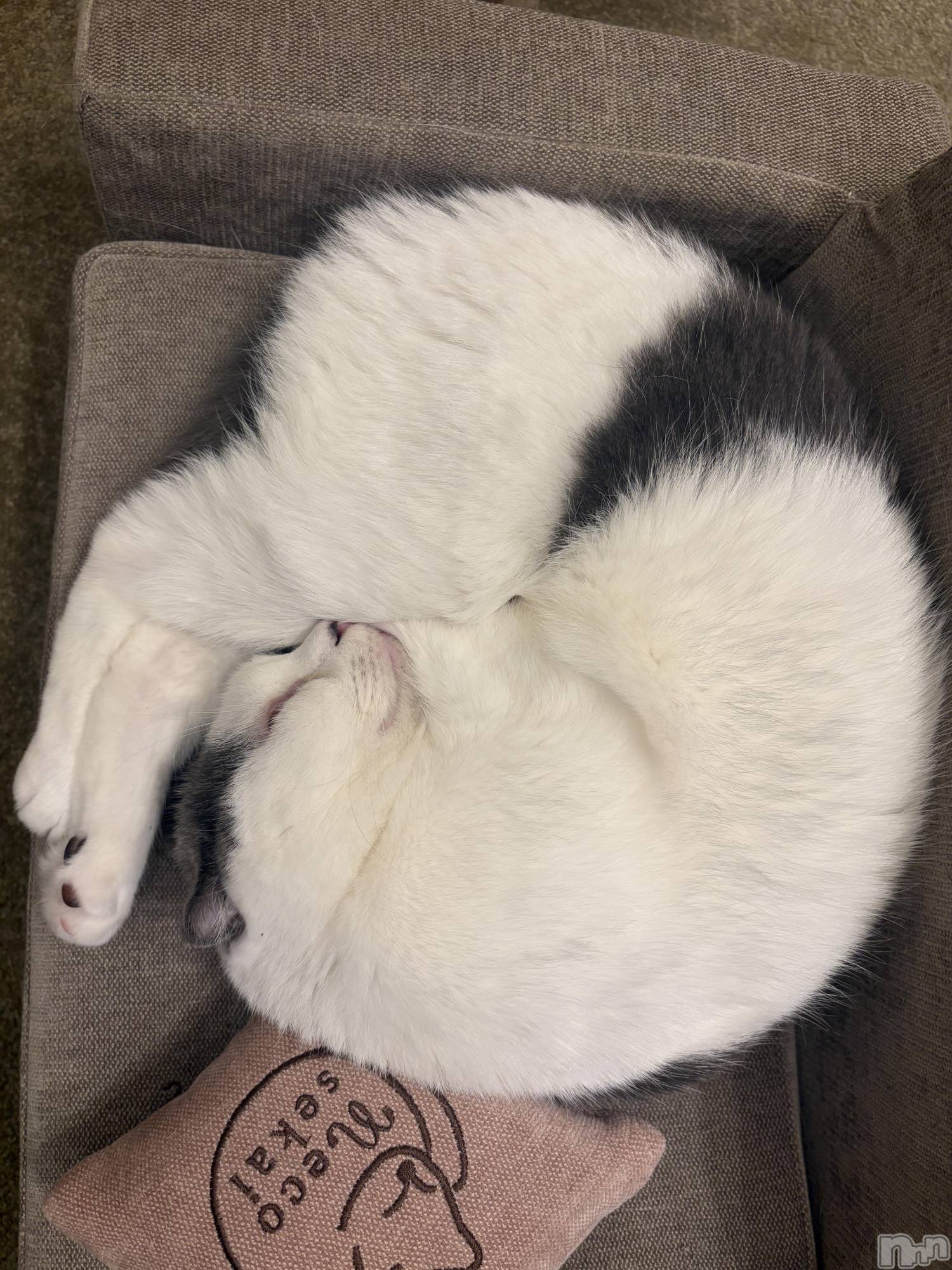 ���ܱ�������Х��顦�����CLUB FOUR LEAF(�ե����꡼��) ��2026ǯ3��5���̥�֥����֤Ϥ���ޤ���*ˊᵕˋ*��