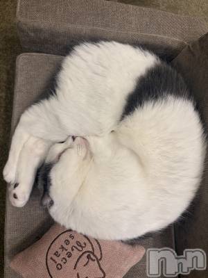 ���ܱ�������Х��顦�����CLUB FOUR LEAF(�ե����꡼��) �Ҥ���(22)��3��5���̥�֥����֤Ϥ���ޤ���*ˊᵕˋ*��