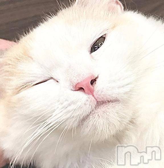 新潟デリヘル新潟市鳥屋野潟ちゃんこ(ニイガタシトヤノガタチャンコ)ちょこ(18)の2026年8月19日写メブログ「ねーこねこねこねこ」