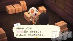新潟デリヘル新潟市鳥屋野潟ちゃんこ(ニイガタシトヤノガタチャンコ) ちょこ(18)の7月1日写メブログ「【悲報】逃した【絶許】」