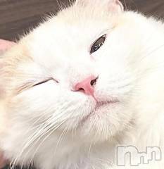 新潟デリヘル新潟市鳥屋野潟ちゃんこ(ニイガタシトヤノガタチャンコ) ちょこ(18)の8月19日写メブログ「ねーこねこねこねこ」