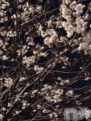 新潟デリヘル 新潟市鳥屋野潟ちゃんこ(ニイガタシトヤノガタチャンコ) ちょこ(18)の4月17日写メブログ「今日もありがと！💗」