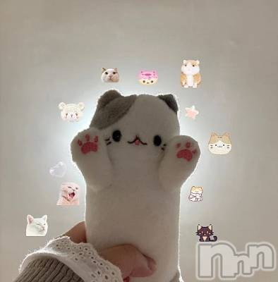 新潟デリヘル 新潟市鳥屋野潟ちゃんこ(ニイガタシトヤノガタチャンコ) ちょこ(18)の8月1日写メブログ「今月もありがとう🐱」