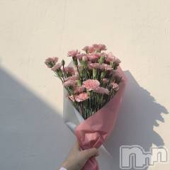 長岡デリヘルMimi(ミミ) 体験あゆり★完全業界未経験★(25)の3月6日写メブログ「はじめまして🐰🎀」