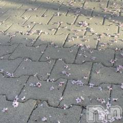 長岡デリヘルMimi(ミミ) 体験あゆり★完全業界未経験★(25)の4月21日写メブログ「お久しぶりです🐰🎀」