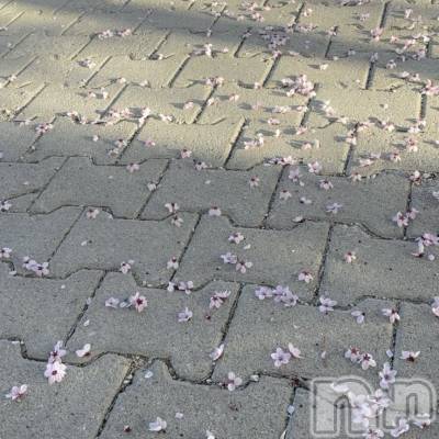 長岡デリヘル Mimi(ミミ) 体験あゆり★完全業界未経験★(25)の4月21日写メブログ「お久しぶりです🐰🎀」