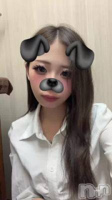 �ɤ衼�ӡ�