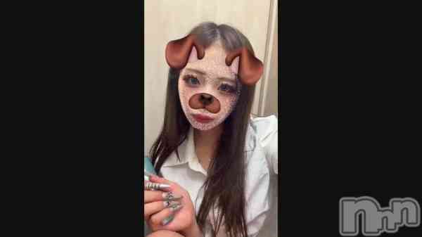 ��🐶��