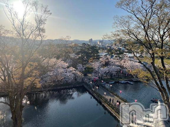 長岡デリヘルBIANCA～主人の知らない私～長岡店(ビアンカナガオカテン)遠野　くの(29)の2026年4月10日写メブログ「こんにちは🌸」