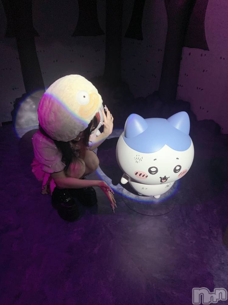 ����������ʥå��������륺�С����פꥹ�ʥå� ��ä��礤(���ޥĥꥹ�ʥå���å��祤) ���ۤ�6��28���̥�֥�����🐱💕��