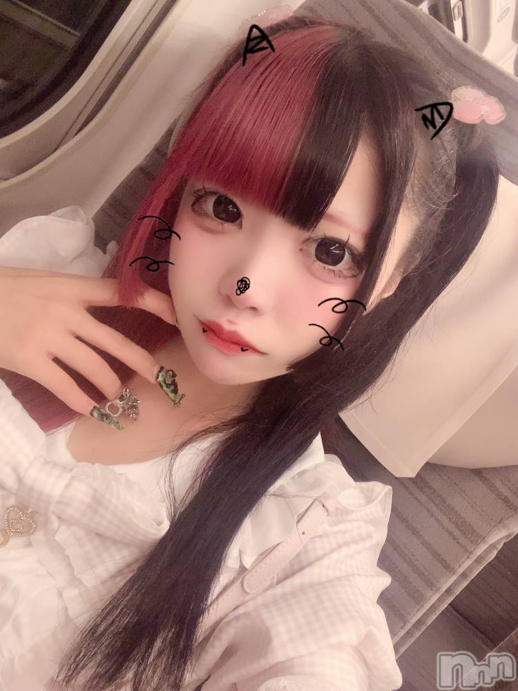 ����������ʥå��������륺�С����פꥹ�ʥå� ��ä��礤(���ޥĥꥹ�ʥå���å��祤) ���ۤ�8��13���̥�֥����ָ���(U𖦹 ·̫ 𖦹U)💕��