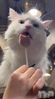 (=^_^=)♡