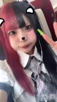 ( T_T)��(^-^ )