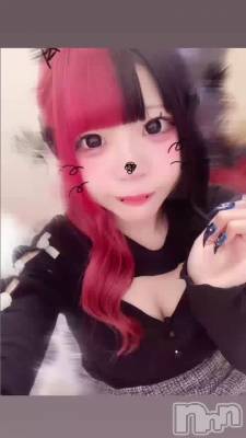 �����ȸ��ơ�❤︎