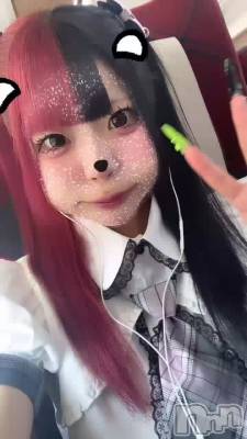 ( T_T)��(^-^ )