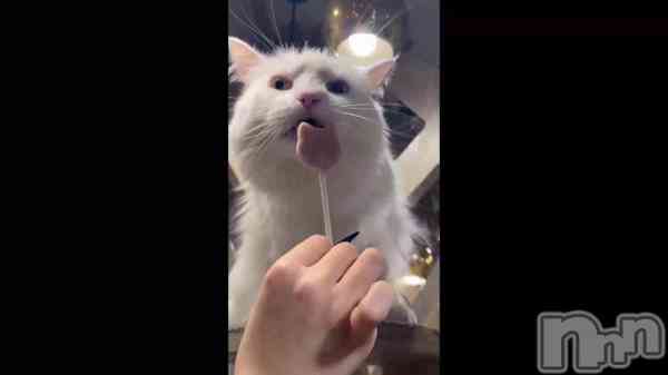 ��(=^_^=)♡��