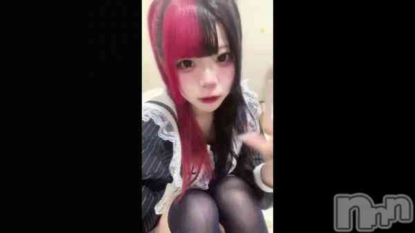 �ֻ������(��T꒳T��)��