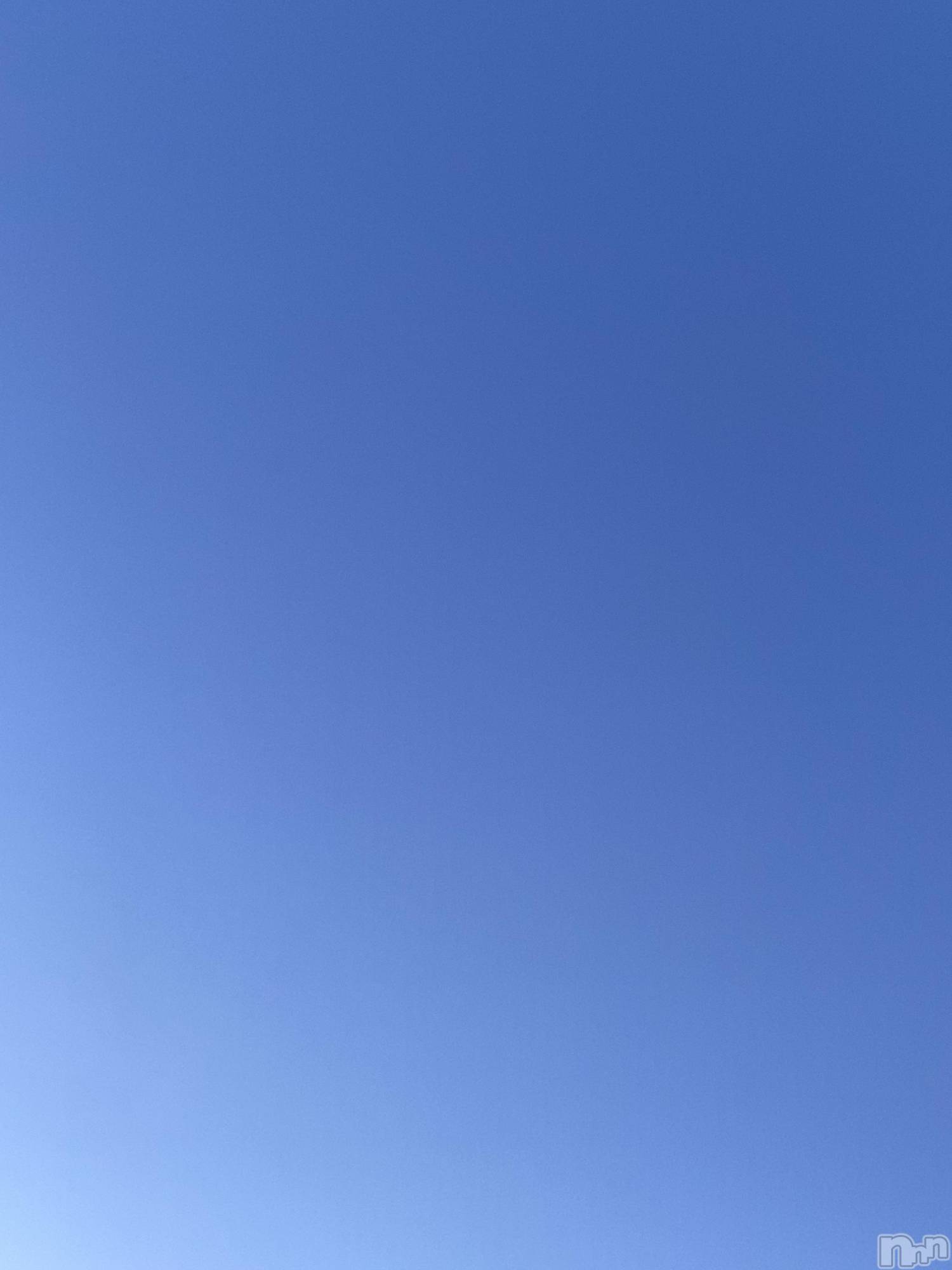 ��ˬ����Х��顦����֥���� �ץ���� ��ˬ(����� �ץ���� ����) ��2026ǯ3��16���̥�֥�����🩵��